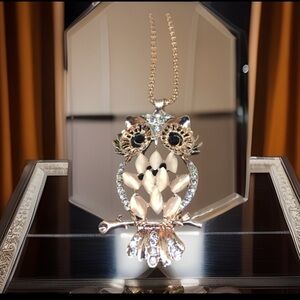 Crystal Owl Necklace Made By Muskwaki Indian Tribe In Tama Iowa Handmade